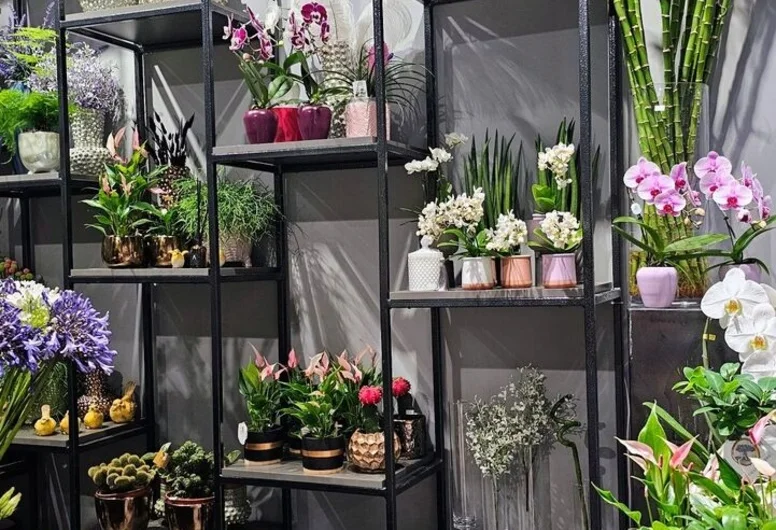 Изображение услуги Известный цветочный магазин (студия флористики) в районе ул. Червякова от компании Bizshop.by