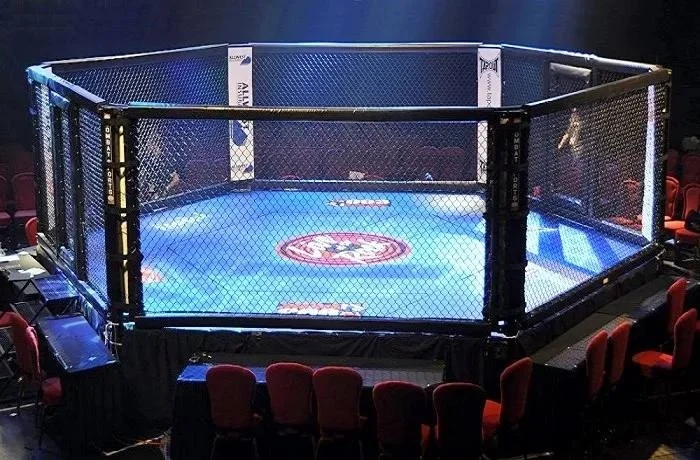 Изображение услуги Профессиональная лига кулачных боев от компании Bizshop.by