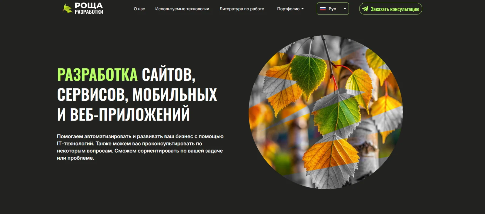 Разработка сложных сайтов